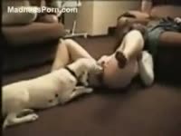 Zoophilia Porn - Obedient dog can&#039;t live without licking its mistress&#039; slit